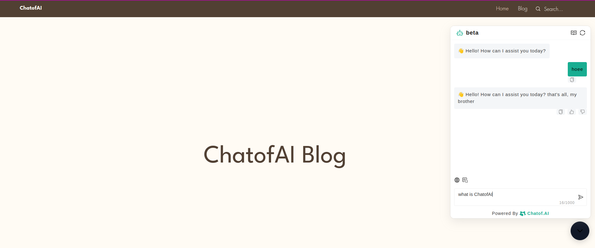 Chatbot on Wix